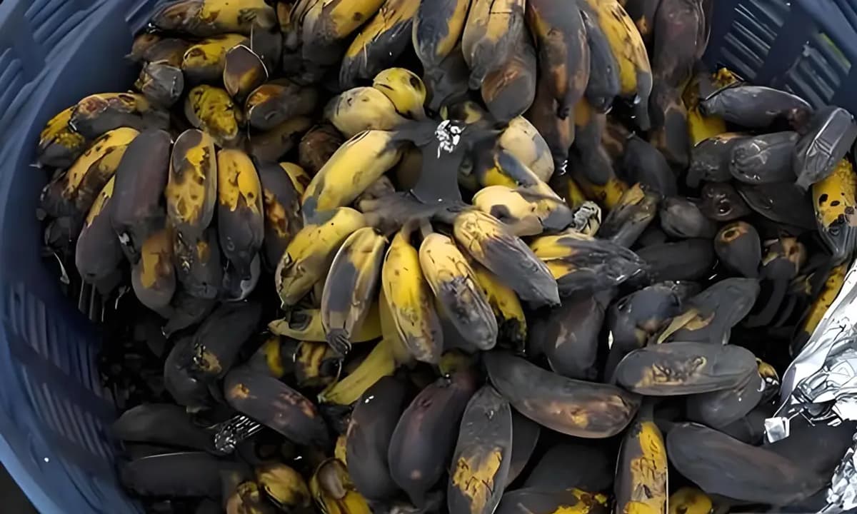 Nếu một ngày nào đó bạn không còn tiền, không còn quyền lực, không còn mối quan hệ, đừng bỏ cuộc. Hãy nhớ đến tư duy 'bán chuối thối ' của người Do Thái