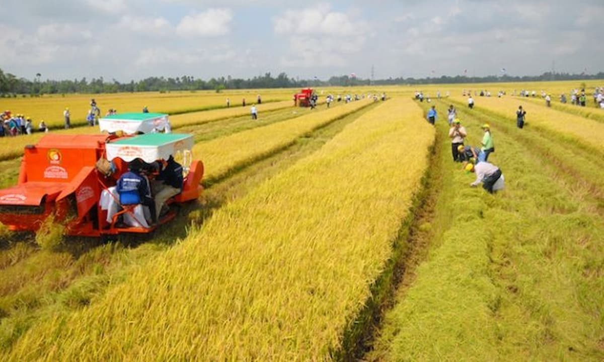 Từ nay, giá đền bù đất trồng lúa khi bị thu hồi đất là bao nhiêu?