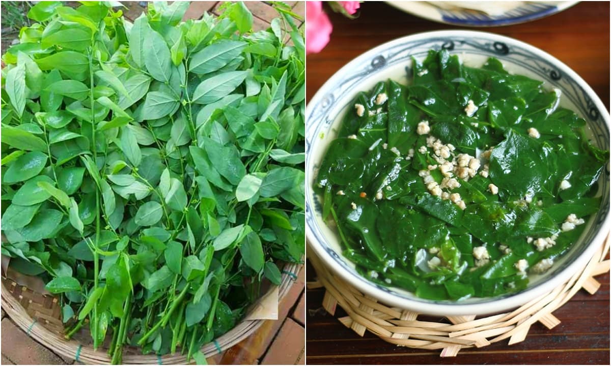 Vượt mặt thịt bò, loại rau quen thuộc trong vườn nhà người Việt mới là ‘vua’ sắt, giúp hạ huyết áp, giải độc