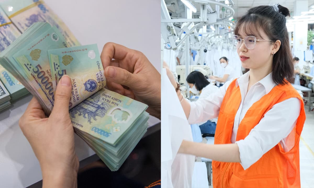 Đơn phương chấm dứt hợp đồng lao động trái pháp luật, người lao động có được hưởng trợ cấp thất nghiệp không?