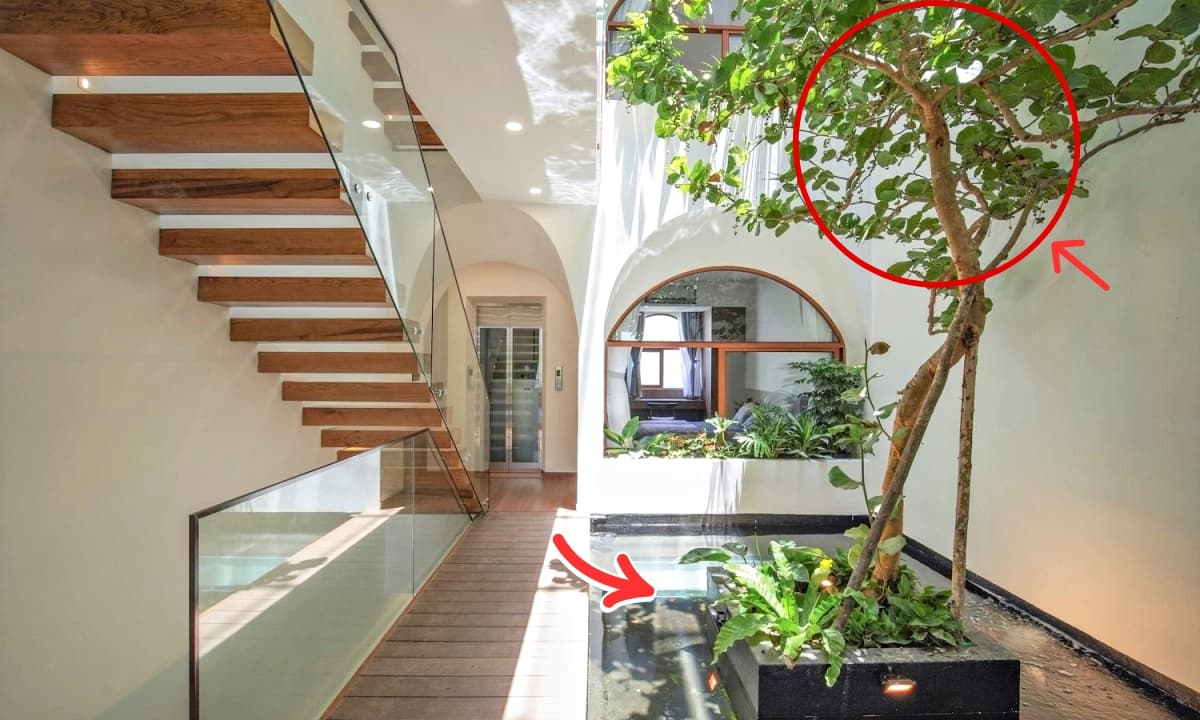 5 dấu hiệu cho thấy nhà bạn là 'đất vàng' phong thủy, chớ vội bán kẻo đánh mất tài lộc