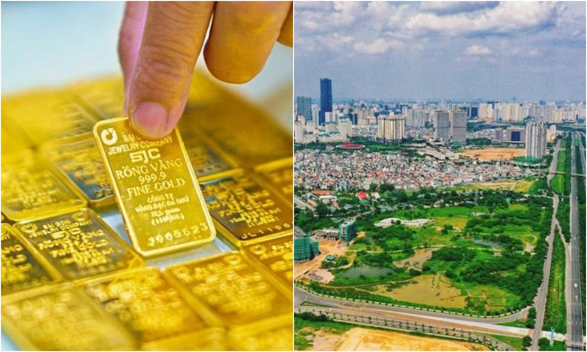 Chuyên gia kinh tế tiết lộ: 'Có tiền, tôi chỉ đầu tư vào 2 kênh này'