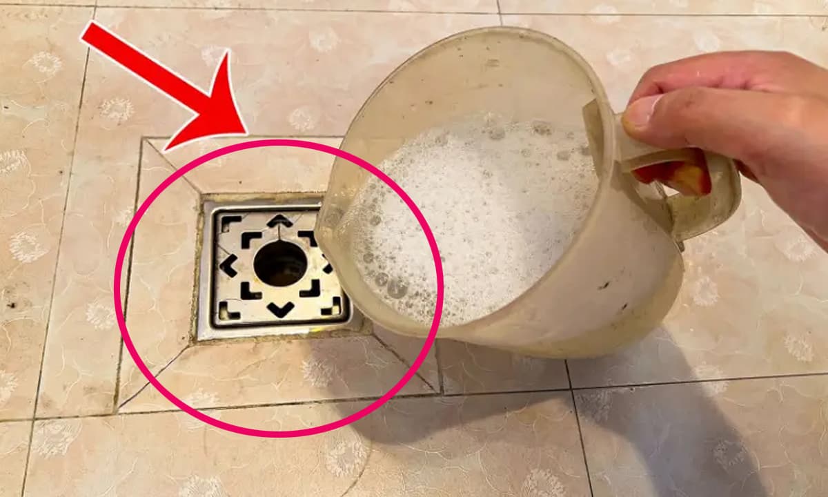 Có côn trùng bay nhỏ trong phòng tắm nhà bạn? Dưới đây là mẹo giúp bạn tiêu diệt tất cả chỉ với một lần xả nước, đồng thời ngăn ngừa mùi hôi