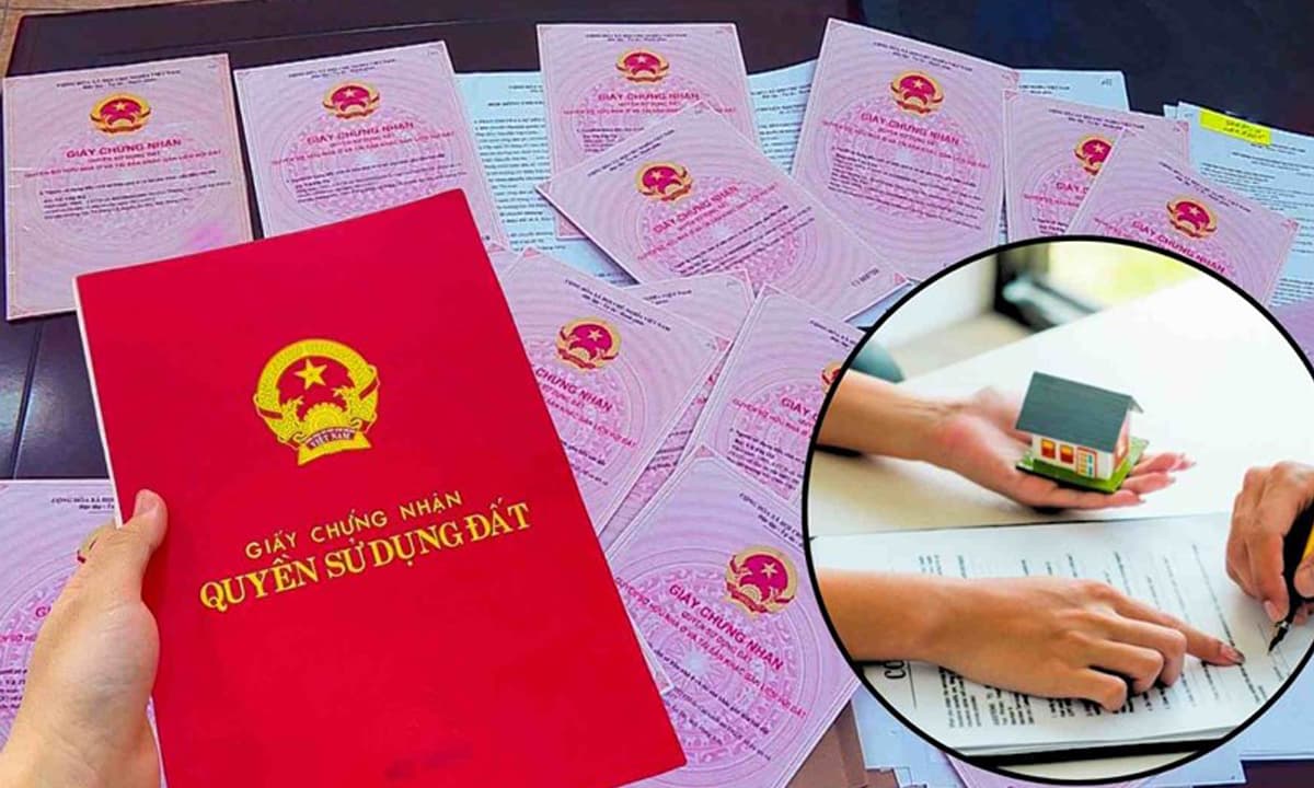 Bố mẹ mất không để lại di chúc, thủ tục sang tên sổ đỏ cụ thể thế nào?