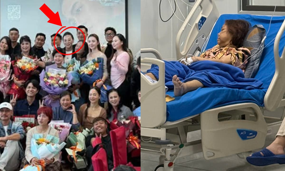 Sao Việt 31/10: Hình ảnh mới nhất của Phương Oanh gây xôn xao; Sức khoẻ hiện tại của Siu Black sau cơn nguy kịch