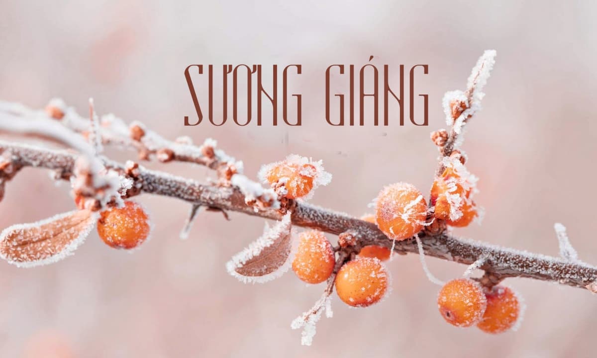 Tiết Sương Giáng 2025: Cách hút vận may dịp cuối năm không phải ai cũng biết