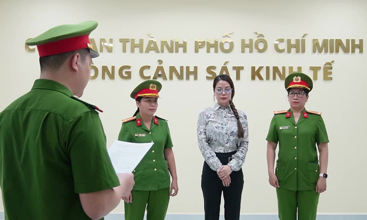 Diễn viên Trương Ngọc Ánh vừa bị bắt tạm giam có thể đối diện mức án nào?