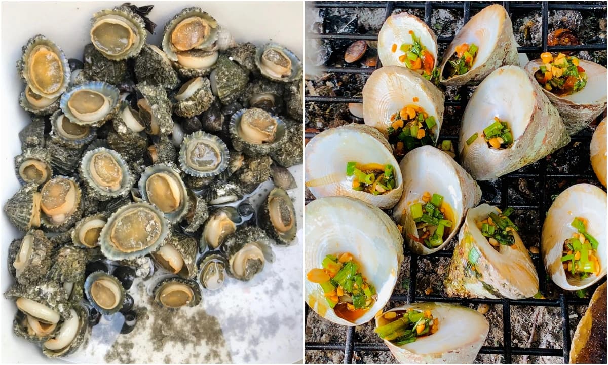 Loài ốc nghe tên giống một 'bộ phận nhạy cảm' lại là đặc sản Côn Đảo, hiếm hơn cả bào ngư, dân sành ăn vẫn tranh nhau truy lùng