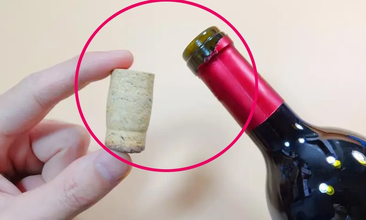 Tôi nhận ra việc mở chai rượu vang thật dễ dàng ngay cả khi không có dụng cụ khui rượu