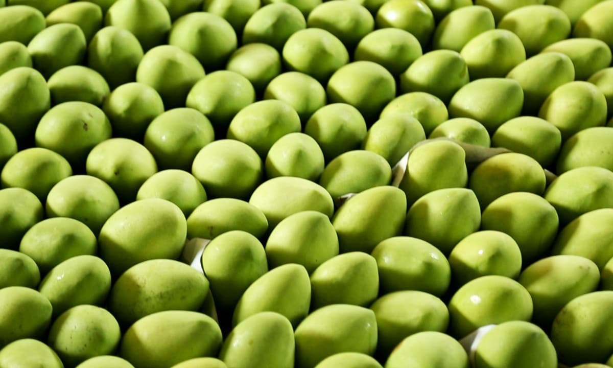 Loại quả của Việt Nam khiến cựu Đại sứ Hoa Kỳ phải xuýt xoa khen ngợi 'ngon nhất thế giới': Trung Quốc tăng nhập khẩu