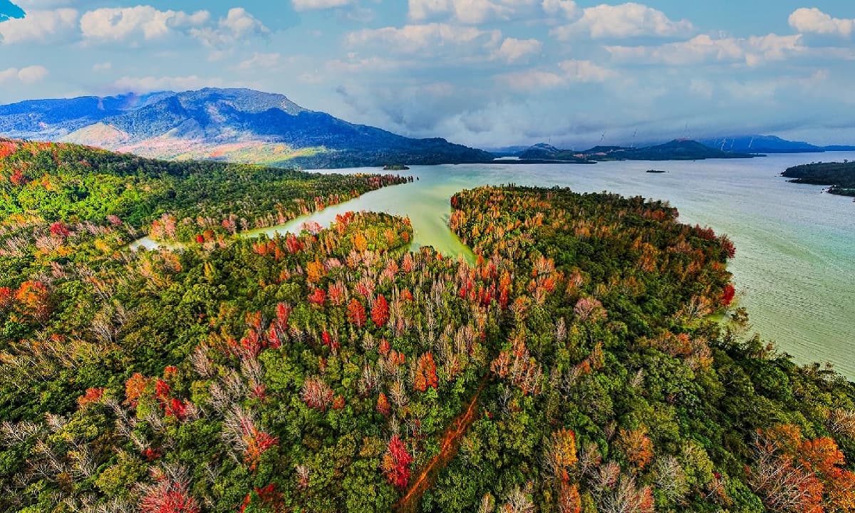 Kỳ lạ, mùa lá đỏ đẹp ngỡ ngàng như phim ở tây Quảng Trị khiến nhiều người tưởng... 'rừng phong' ở trời Âu