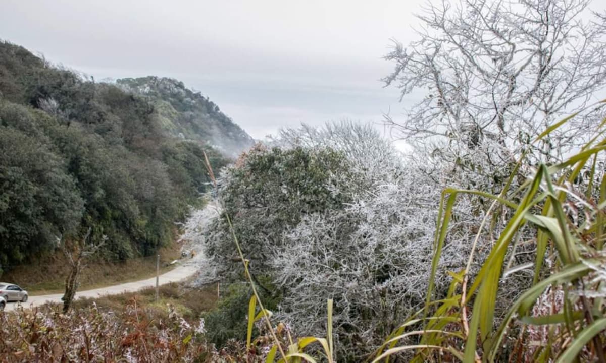 Miền Bắc rét đậm, nhiệt độ thấp nhất 2 độ C