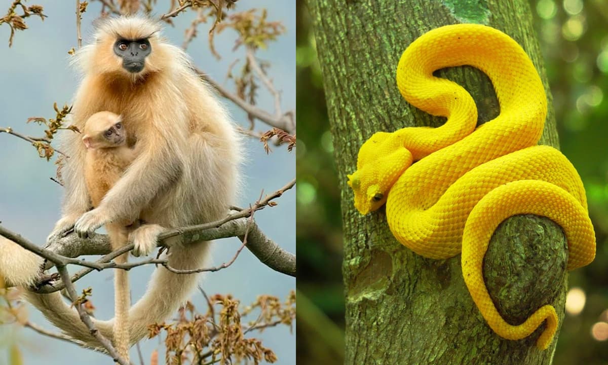 Tử vi ngày 29/11/2025 của 12 con giáp: Tuổi Thân được quý nhân mang đến tài lộc, Tỵ kém may mắn