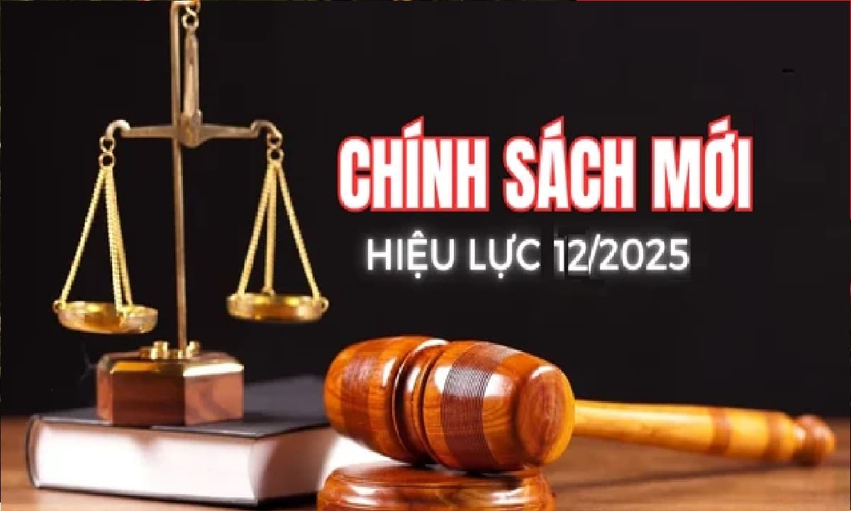 Loạt chính sách mới chính thức có hiệu lực từ tháng 12/2025