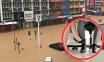Thuê khách sạn cùng tình nhân nhưng bị mắc kẹt do lũ lụt, người đàn ông 'đứng hình' khi nhìn thấy người đến giải cứu