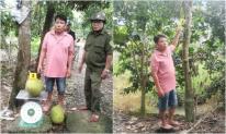 Đồng Tháp: Khởi tố người đàn ông vì trộm hai trái mít