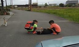 Chú chó nằm 'ăn vạ' giữa đường, lôi thế nào cũng không chịu đi