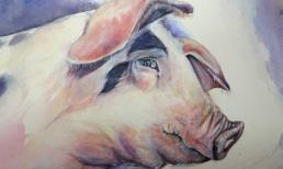 Tài vận 12 con giáp trong tháng 10: 4 con giáp cực may mắn, 5 con giáp cần chú ý tiền nong