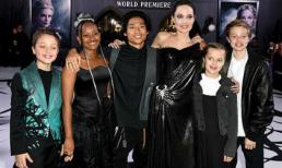 Đồng cảnh ngộ với David Beckham, Angelina Jolie tiết lộ sự thật đắng lòng của bà mẹ không có người nối nghiệp 