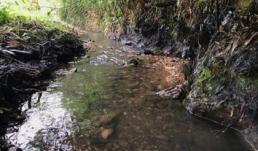 Vụ nước sông Đà nhiễm bẩn: UBND tỉnh Hòa Bình họp báo công bố thông tin