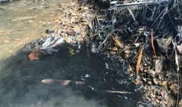 Bắt 2 đối tượng liên quan vụ đổ trộm dầu thải đầu nguồn sông Đà