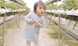 Loạt khoảnh khắc đáng yêu của con gái Tú Vi - Văn Anh ở Đà Lạt