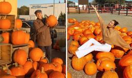 Cùng chụp hình với bí ngô, Hứa Vĩ Văn được khen văn minh, lịch sự hơn Phạm Hương