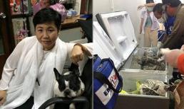 Nữ triệu phú Thái Lan chết thảm, thi thể bị giấu trong tủ lạnh đổ đầy bê tông