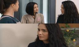 Hoa hồng trên ngực trái tập 26: San nhờ luật sư Dung giúp Khuê giành quyền nuôi bé Bống