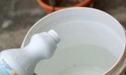 Bé 1 tuổi tử vong do bà nội cho uống nhầm nước tẩy quần áo đựng trong chai trà xanh