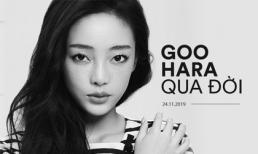 Goo Hara đột ngột qua đời, Asia Artist Awards 2019 tại Việt Nam vẫn diễn ra bình thường