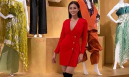 Tin vui tới tấp, Hoa hậu Lương Thùy Linh tiếp tục lọt Top 10 phần thi Top Model