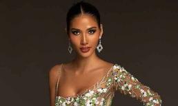 Trang phục dạ hội lấy cảm hứng từ giọt hoa tuyết của Hoàng Thuỳ tại Miss Universe 2019