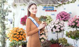 Lương Thuỳ Linh lần đầu tiết lộ cát-xê dự event