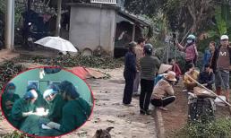 Thảm án 5 người chết ở Thái Nguyên: Nạn nhân duy nhất sống sót giờ ra sao?