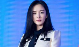 Bí ẩn khó có lời giải đáp chính xác nhất trong Cbiz: Dương Mịch dính 'lời nguyền' không dự đám cưới của bất cứ minh tinh nào