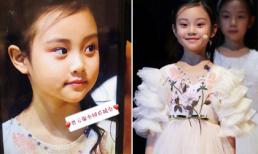Con gái Lý Tiểu Lộ gây sốt mạng xã hội: Thừa hưởng nét đẹp của cha mẹ, dự đoán thành mỹ nhân tương lai