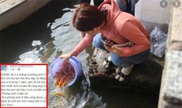 Cô nàng ấm ức kể bị người yêu chửi vì phóng sinh cá ông Công ông Táo xuống cống, ai ngờ bị dân mạng mắng ngược 