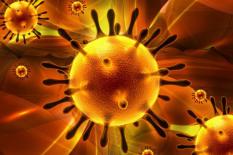 Virus corona là gì?