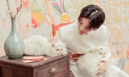  Vũ Cát Tường tặng fan bộ ảnh Tết cực đáng yêu, lần đầu tiên cho mèo cưng lên sóng
