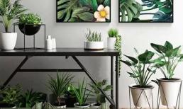 Cho dù ngôi nhà nhỏ đến đâu, bạn vẫn có thể tạo những khu vườn nhỏ xinh này!