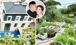 Sau 5 tháng kết hôn, từ một người không biết nấu ăn, Bảo Thy đã thành vợ đảm, còn tự trồng cả một vườn rau