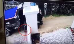 Khởi tố tài xế lùi xe cán chết cháu bé hơn 1 tuổi