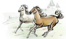 Vợ chồng thuộc 3 cặp con giáp này sẽ kinh doanh phát đạt, gia đình thịnh vượng, cuối năm 2020 tiền về đầy túi