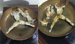 Lần đầu vào bếp, cô gái cho ra món ăn khiến dân mạng 'phì cười'