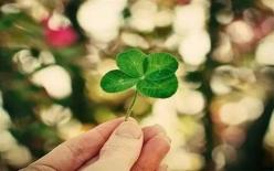 Người có đuôi ngày sinh là số này sẽ gặp nhiều may mắn, đại cát đại lợi, cả đời sống trong phú quý bình an