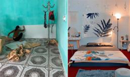 Vợ chồng son tân trang căn phòng trọ rộng 18m2 thành không gian sống khác đến nỗi nhìn lại không nhận ra