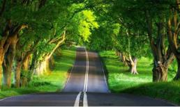 Sau khi dịch bệnh, cái gì đắt nhất?