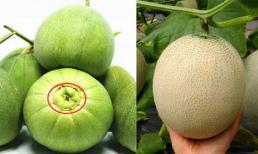 Khi mua dưa, dù to cỡ nào miễn là rốn 'thế này', đảm bảo quả nào cũng ngọt sắc và ngon