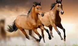 Cuối tháng 5, 3 con giáp phúc đức nồng hậu, sự nghiệp đột phá kéo theo tiền bạc dồi dào, hạnh phúc viên mãn